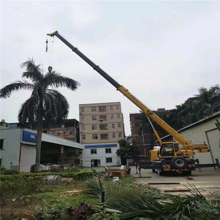 黎安镇汽车吊出租多少钱？全面解析与市场行情